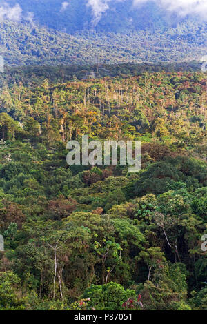 San Isidro West slope Andes Ecuador Stock Photo