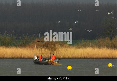 Vissers op de Nieuwe Merwede; Fisherman on Nieuwe Merwede Stock Photo