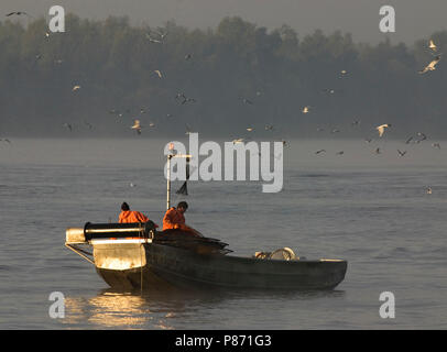 Vissers op de Nieuwe Merwede; Fisherman on Nieuwe Merwede Stock Photo