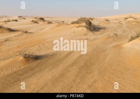 Landscape of central desert of Oman Stock Photo