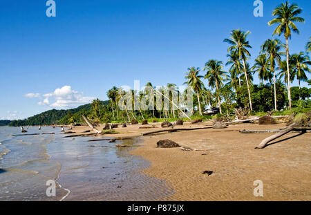 beach in sarawak Bornio  with wind spept palm trees and sandy beach Stock Photo