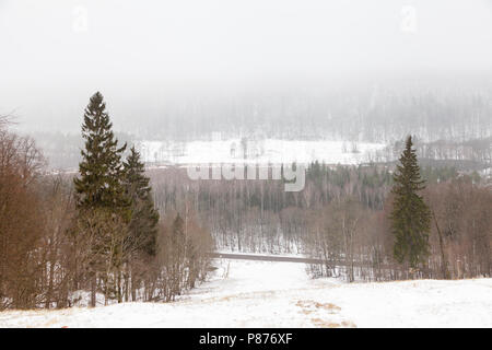 A winter view across the Gauja River Valley in Sigulda, Latvia.  Sigulda is a part of the Gauja National Park. Stock Photo