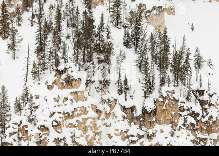 Rotswand met sneeuw en bomen; Cliff covered in snow and trees Stock Photo