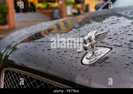 BERLIN - AUGUST 2014: Bentley logo on the hood of Mulsanne, covered with raindrops. Mulsanne - launched in 2010 - is the only model of Bentley, carrying the "Flying B" distinctive hood ornament. Stock Photo