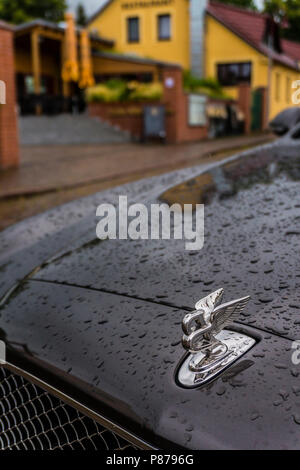 BERLIN - AUGUST 2014: Bentley logo on the hood of Mulsanne, covered with raindrops. Mulsanne - launched in 2010 - is the only model of Bentley, carrying the Flying B distinctive hood ornament. Stock Photo