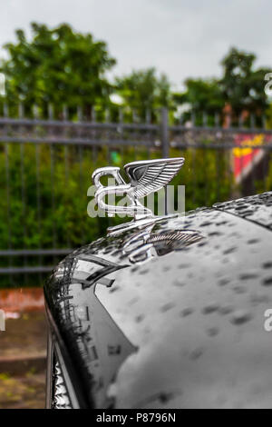 BERLIN - AUGUST 2014: Bentley logo on the hood of Mulsanne, covered with raindrops. Mulsanne - launched in 2010 - is the only model of Bentley, carrying the "Flying B" distinctive hood ornament. Stock Photo