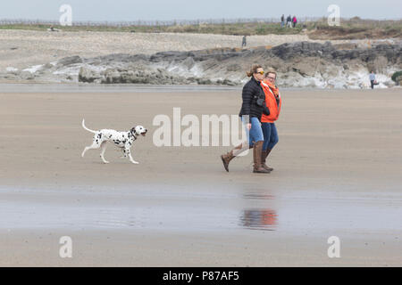 Porthcawl, South Wales UK. 14th April 2018. UK Weather: Dog Walkers walk their dog at Porthcawl beach, South Wales on a sunny day. Stock Photo