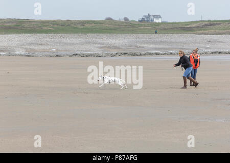 Porthcawl, South Wales UK. 14th April 2018. UK Weather: Dog Walkers walk their dog at Porthcawl beach, South Wales on a sunny day. Stock Photo