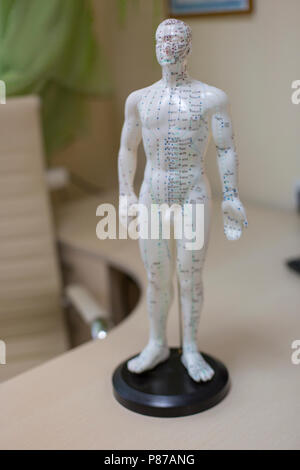 Alternative medicine and east asian healing methods concept with acupuncture dummy model with copy space. Acupuncture is the practice of inserting needles in the subcutaneous tissue, skin and muscles Stock Photo