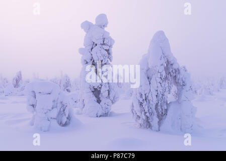 Winter scene from fell Sammaltunturi in Muonio, Finland, Lapland Stock Photo