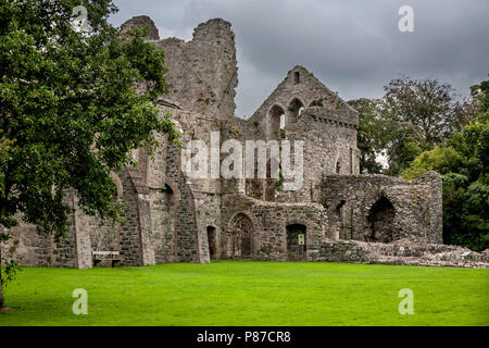 Grey Abbey Cistercian monastery on Strangford Lough, County Down Northern Ireland Stock Photo