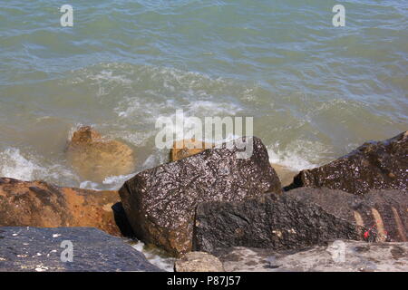 Broken rocks at the lakefront at Northwestern University Park on the Lake in Evanston, Illinois on a beautiful sunny summer day. Stock Photo