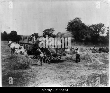 5 men loading hay on a horse-drawn wagon; 1 man with horse-drawn hay rake Stock Photo