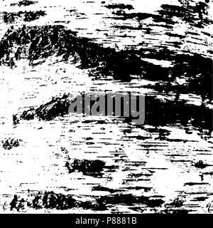 texture Bark. Nature black-white stylish background. Vector illustration. three colors Stock Vector