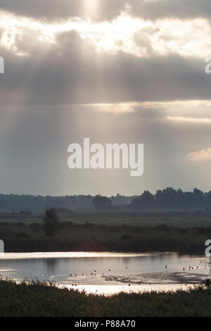 Zon breekt door boven waterplas; Sun breaking through over lake Stock Photo
