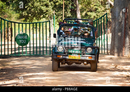 Jeeps with tourists and their guides waiting for Tigers at crowded place in Bandhavgarh, india during a Tiger safari
