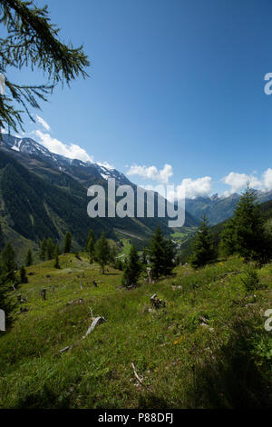 Lotschental Zwitserland, Lotschental Switzerland Stock Photo