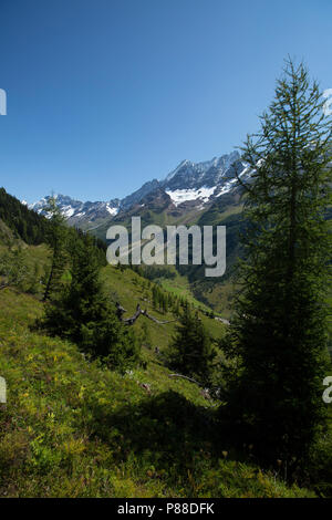 Lotschental Zwitserland, Lotschental Switzerland Stock Photo