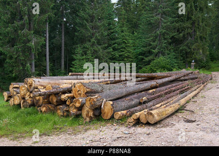 Lumbering, aggressive deforestation in Romanian national parks Stock Photo