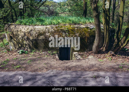 Old bunker in Slovakia next to cycle path along Morava river between Slovakia and Austria Stock Photo