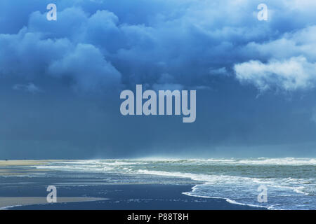 Weids uitzicht over strand met wolkenlucht; Extensive view at beach with cloudy sky Stock Photo