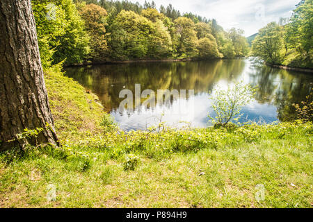 Light in Derbyshire England Raymond Boswell Stock Photo