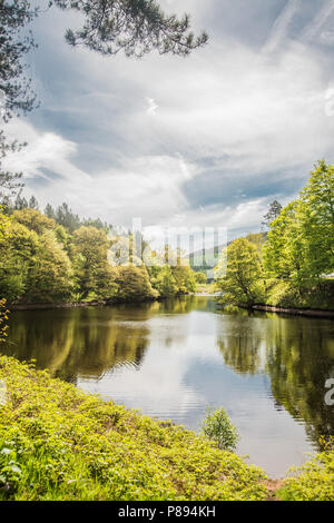 Life in Derbyshire Raymond Boswell Stock Photo