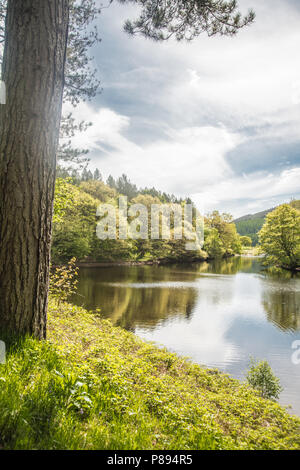 Light in Derbyshire Raymond Boswell Stock Photo