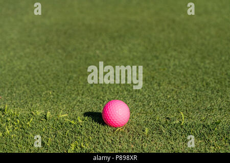 Pink golf ball on the edge of putting green Stock Photo