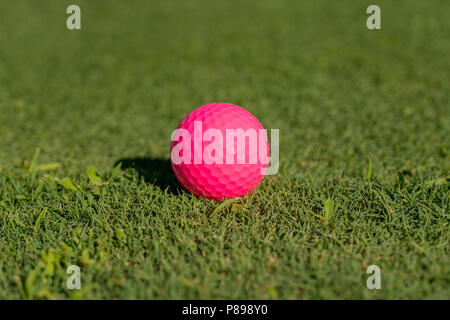 Pink golf ball on the edge of putting green Stock Photo