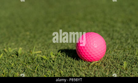 Pink golf ball on the edge of putting green Stock Photo