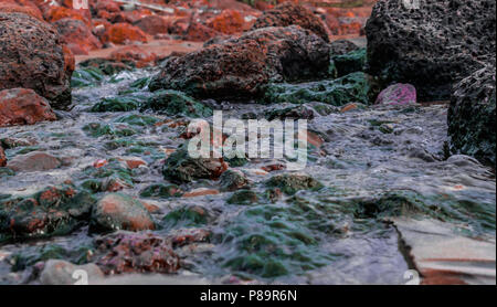 Fast flowing downstream current of shallow  river of fresh water, passing and cutting through algae rich slippery rocks Stock Photo