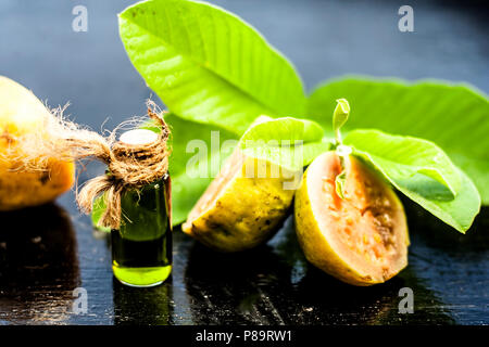 Green colored Floral and fruit essence of Guava or Jamrudh or Psidium guajava or common red guava with its fresh leaves and organic fruit on black woo Stock Photo