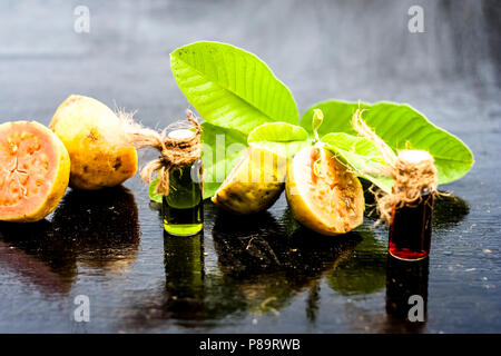 Green colored Floral and fruit essence of Guava or Jamrudh or Psidium guajava or common red guava with its fresh leaves and organic fruit on black woo Stock Photo