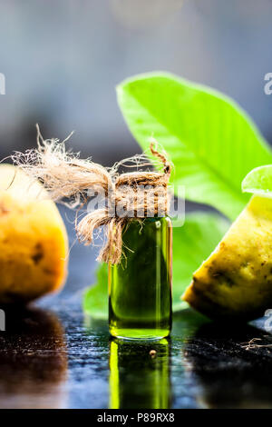 Green colored Floral and fruit essence of Guava or Jamrudh or Psidium guajava or common red guava with its fresh leaves and organic fruit on black woo Stock Photo