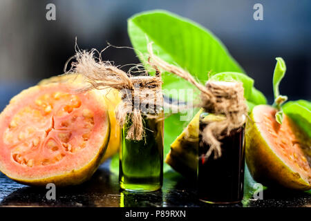 Red and Green colored Floral and fruit essence of Guava or Jamrudh or Psidium guajava or common red guava with its fresh leaves and organic fruit on b Stock Photo