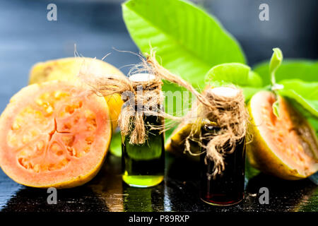 Red and Green colored Floral and fruit essence of Guava or Jamrudh or Psidium guajava or common red guava with its fresh leaves and organic fruit on b Stock Photo