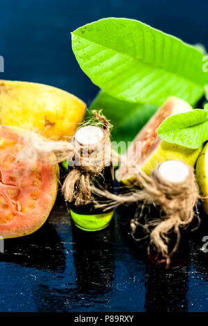 Red and Green colored Floral and fruit essence of Guava or Jamrudh or Psidium guajava or common red guava with its fresh leaves and organic fruit on b Stock Photo