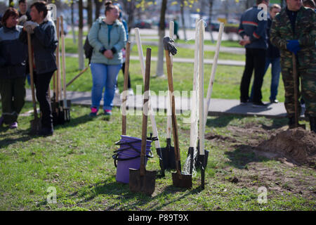 Belarus, Gomel, April 21, 2018. The Central District. Tree planting. A lot of shovels and buckets for planting trees. Stock Photo