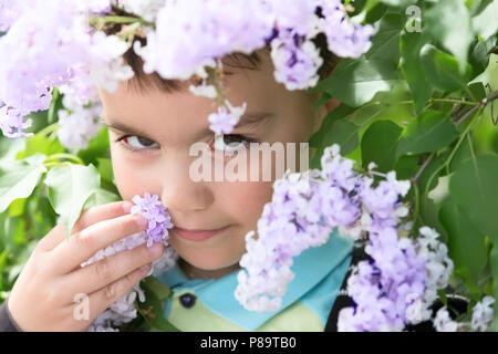 Belarus, the city of Gomel, May 16, 2016. Kindergarten is the fifth. Spring Festival.Little boy in lilac.Smell the flowers Stock Photo