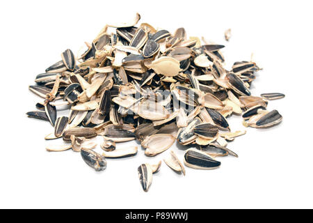 a pile of sunflower seeds shells isolated on white background Stock Photo