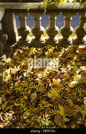 Carpet of dead leaves fallen in front of a balustrade in stone and bathed in sunlight. France Stock Photo
