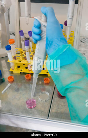 Preparing research studies in cancer treatment Stock Photo