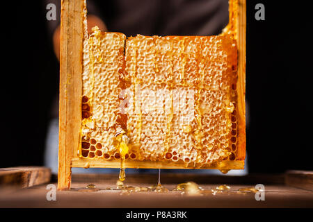 Honeycomb in a wooden frame Stock Photo