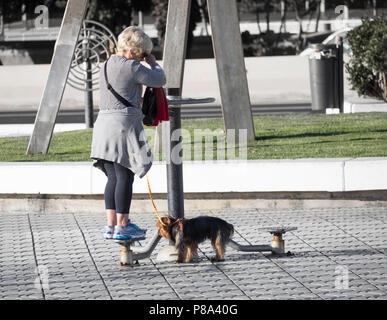 Elderly woman walking dog using outdoor exercise machine on city street in Spain Stock Photo