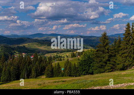 planting fir at the foot of the mountain on a sunny day near the village. In the distance you can see elevators and green hills . For your design Stock Photo