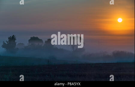 Colorful sunrise over the field with trees, shrouded in the morning gray mist . For your design Stock Photo