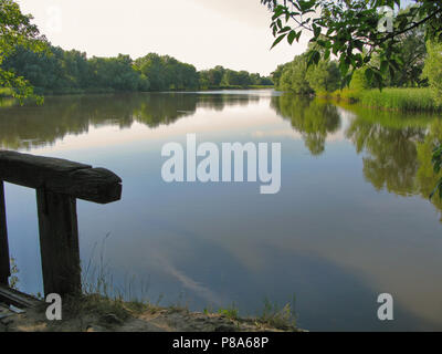 a wooden bridge over a river, on the banks of which grow shallow willows and reeds. A wonderful place and a sunny day for fishing and wildlife . For y Stock Photo