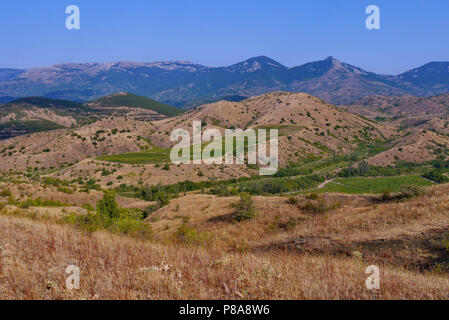 Fields that grow into wide stone ridges with green trees on them . For your design Stock Photo