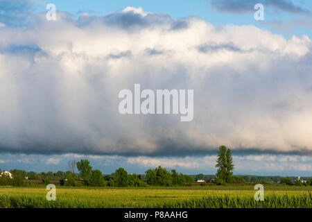 A roll of white clouds over a light blue sky with a rural landscape setting Stock Photo